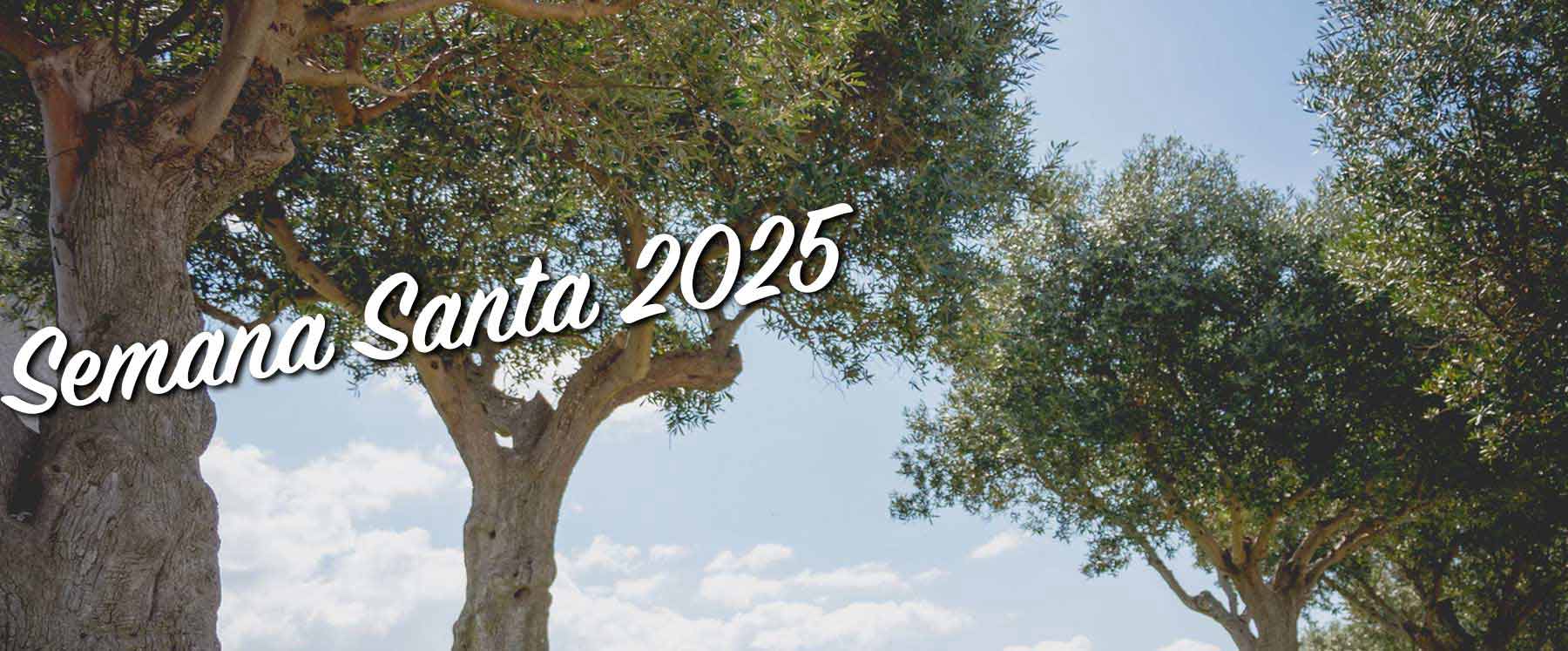 2025